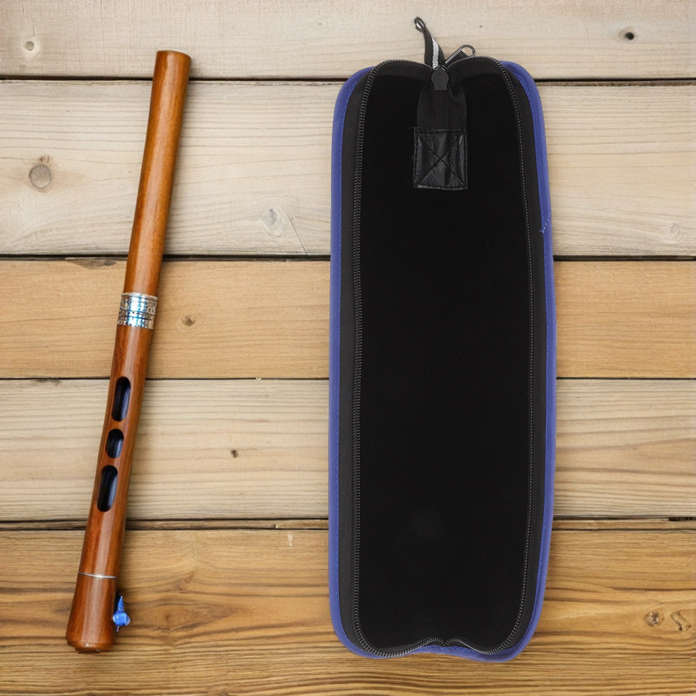 حقيبة حمل لجهاز تسجيل الصوت (4 - مراجعة Musical Instrument A Recorder وسعره