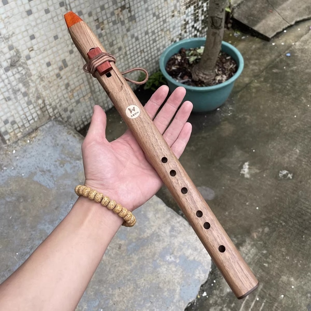فلوت خشبي عمودي بدرجات صوت B/C - مراجعة Musical Instrument A Recorder وسعره