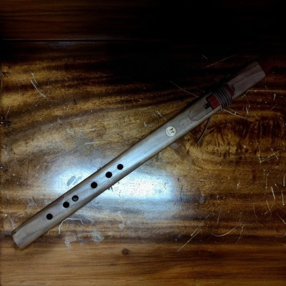 فلوت خشبي عمودي بدرجات صوت B/C - مراجعة Musical Instrument A Recorder وسعره