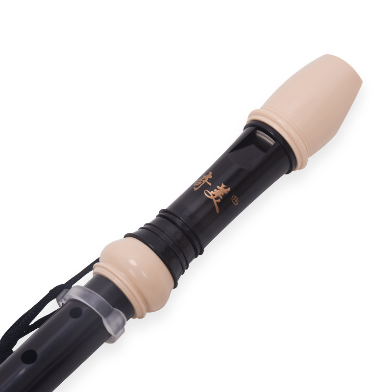 8 حفرة مسجل عالية الملعب G/B م - مراجعة Musical Instrument A Recorder وسعره