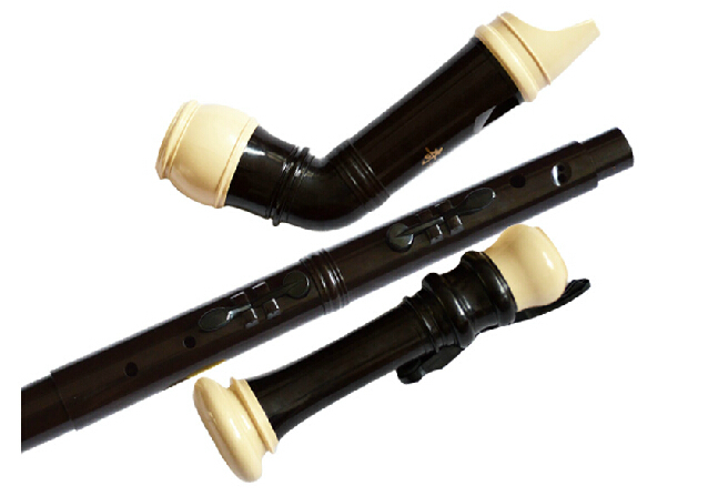 المهنية 8 ثقوب الباروك باس الر - مراجعة Musical Instrument A Recorder وسعره