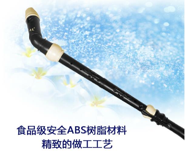 المهنية 8 ثقوب الباروك باس الر - مراجعة Musical Instrument A Recorder وسعره
