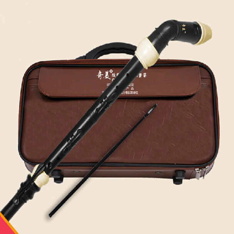 المهنية 8 ثقوب الباروك باس الر - مراجعة Musical Instrument A Recorder وسعره
