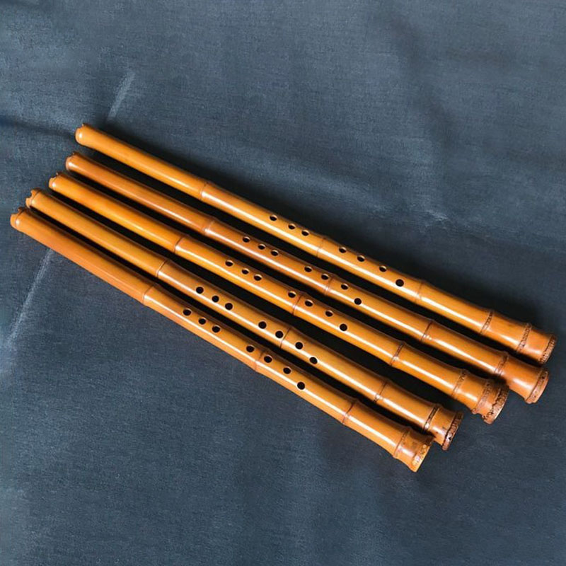 8 حفرة الخيزران شياو الأداء ال - مراجعة Musical Instrument I Play وسعره