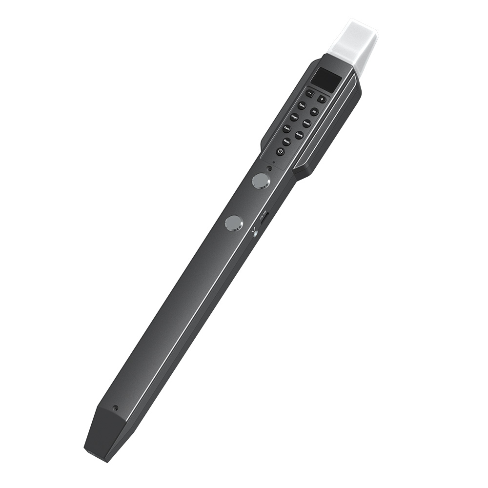 مزمار صغير عرضي للرياح الإلكتر - مراجعة Musical Instrument A Recorder وسعره
