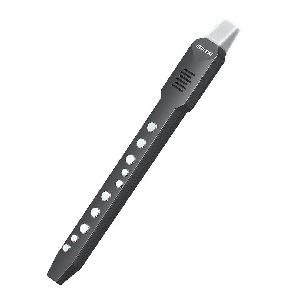 مزمار صغير عرضي للرياح الإلكتر - مراجعة Musical Instrument A Recorder وسعره