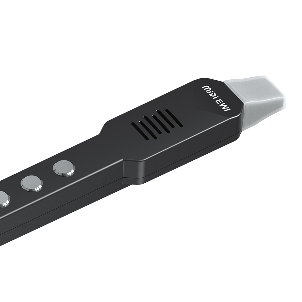 مزمار صغير عرضي للرياح الإلكتر - مراجعة Musical Instrument A Recorder وسعره
