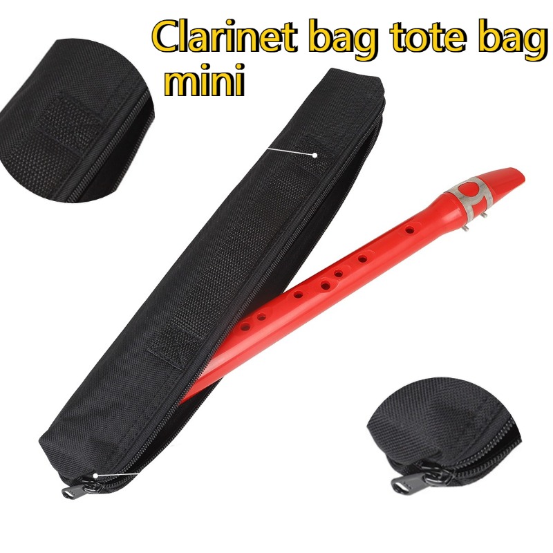 حقيبة حمل آلة الساكسفون الصغير - مراجعة Musical Instrument A Recorder وسعره