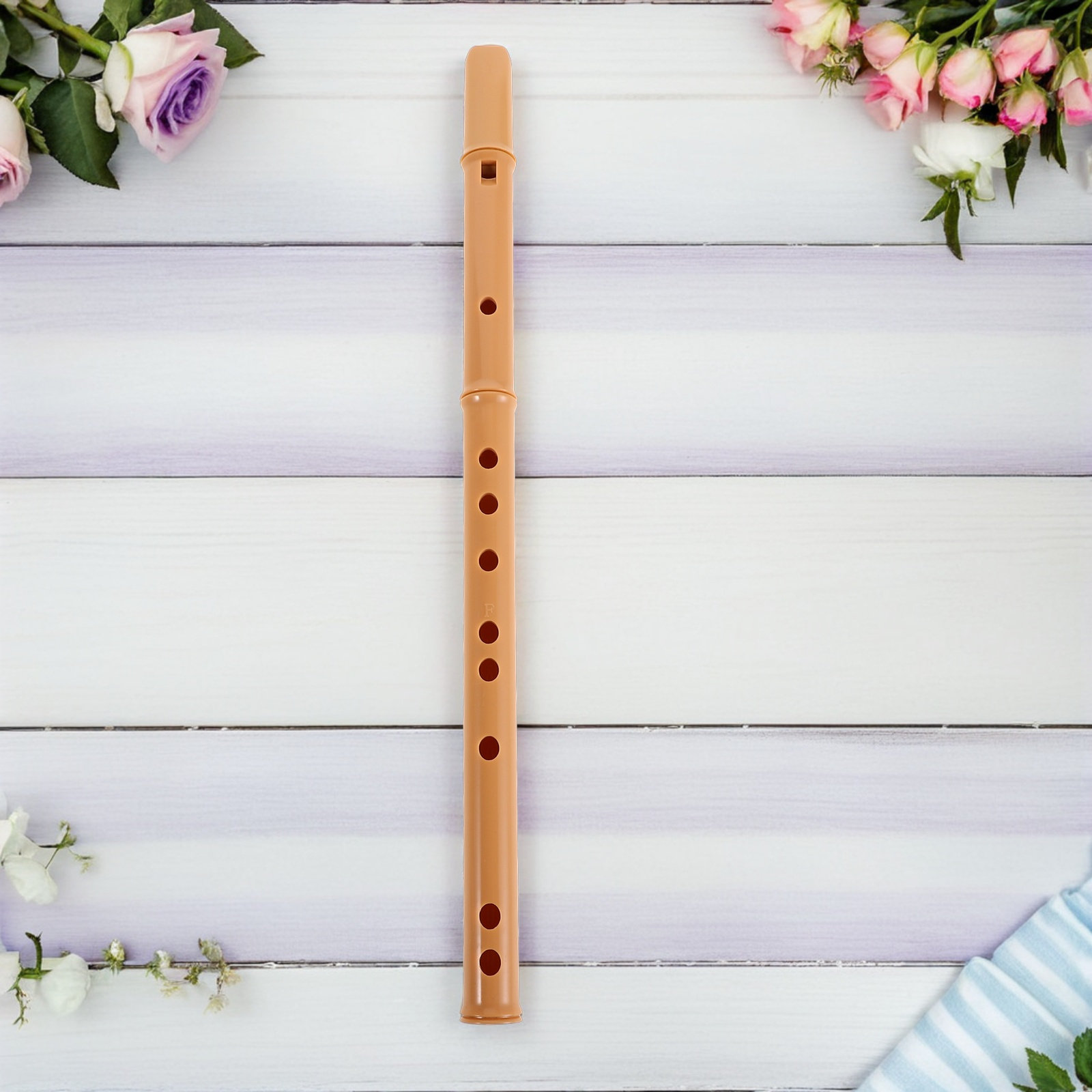 فلوت راتنجي قابل للفصل من 3 قط - مراجعة Musical Instrument A Recorder وسعره