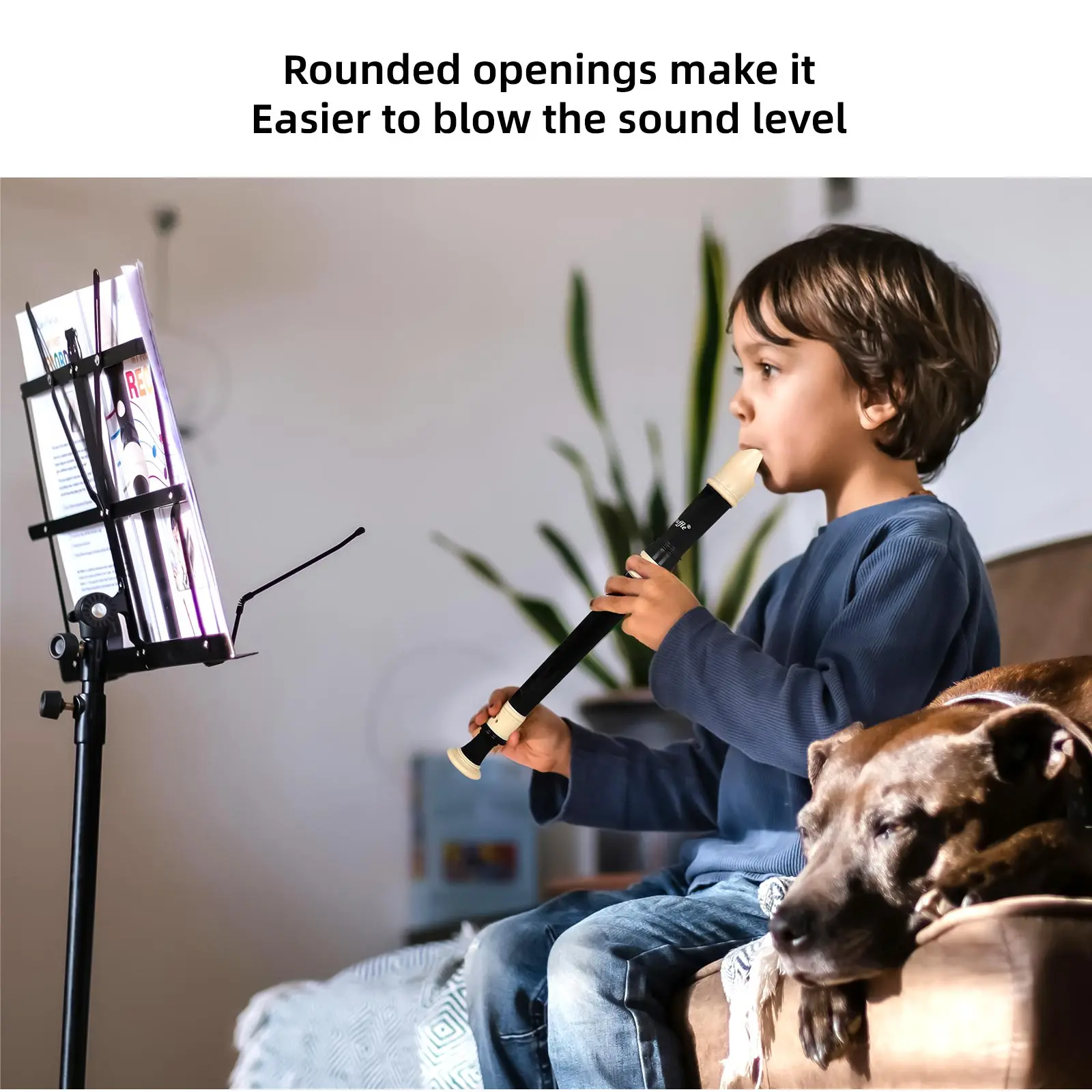 8-Hole مسجل الباروك نمط آلات ا - مراجعة Musical Instrument A Recorder وسعره